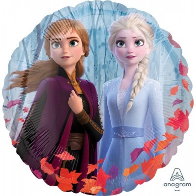 GLOBO CONVER #18C FROZEN 2
