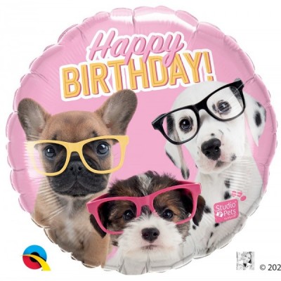 GLOBO QUALATEX #18C STUDIO PETS CUMPLEAÑOS CACHORROS