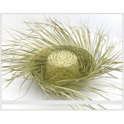 SOMBRERO COSTEÑO PALMA SANCHEZ