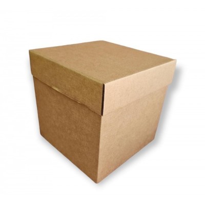 CAJA CARTON VBX CUBO 30X30 VIBOXES