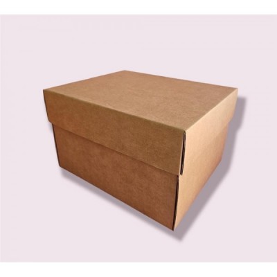 CAJA CARTON VBX ZAPATERA CHICA 15X15X10 VIBOXES