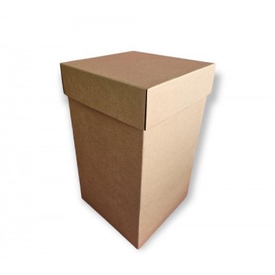 CAJA CARTON VBX PELUCHERA MEDIANA 48X27X27 VIBOXES