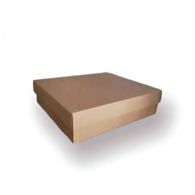 CAJA CARTON VBX CAMISERA CHICA 25X21X8 VIBOXES