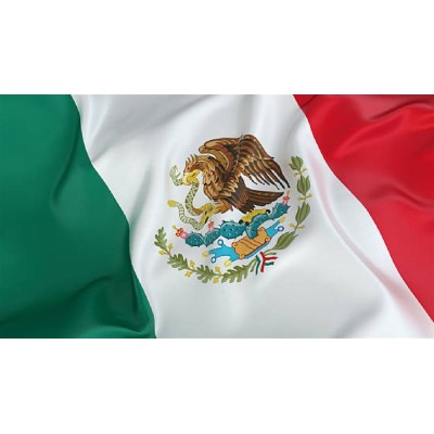 BANDERA DE MEXICO RAZO 80X42CM VMF