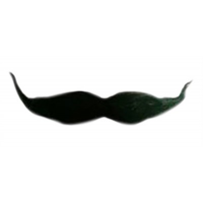 BIGOTE MEXICANO ECONOMICO 10PZ VMF